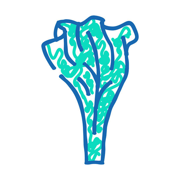 生菜健康食品图标涂鸦插画图片下载