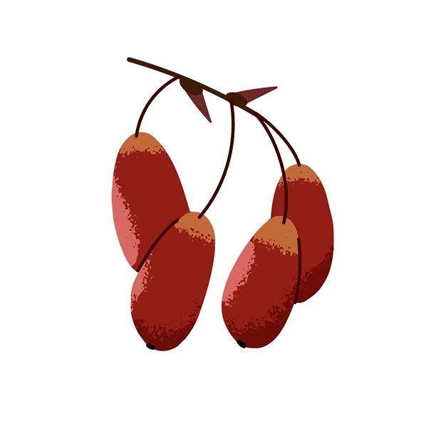 小檗的干枝。手绘风格的秋天小树枝。秋天的果树上，小檗枝头长着红色的果实。秋天的装饰。平面隔离矢量插图上的白色背景图片下载