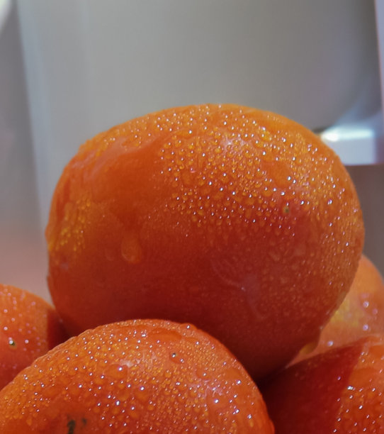 瀑布、海浪、沙滩和露珠的特写照片图片下载