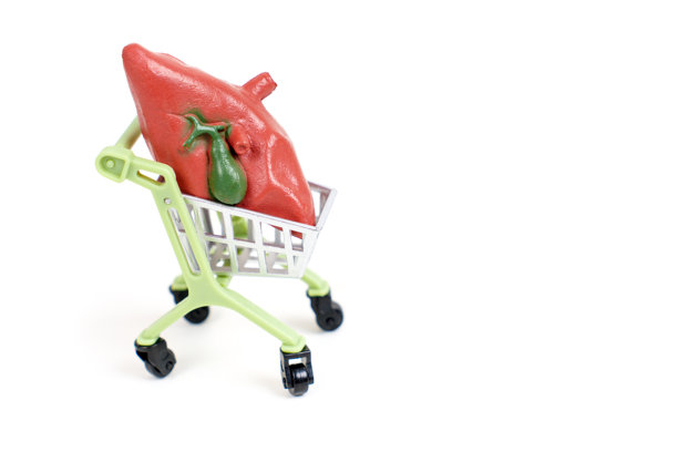 白色背景下购物车中的人体肝脏模型图片下载