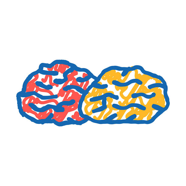 干梅子干果图标涂鸦插图图片下载