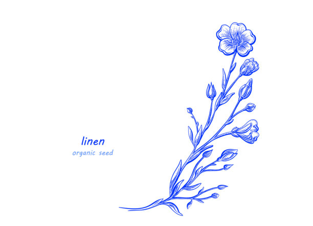 亚麻花模板。矢量手绘艺术草图图片下载