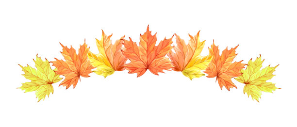 秋天树叶的花环。手绘水彩插图，独立展示。秋季枫叶的构图。装饰丰收节和感恩节。用于广告、婚礼、明信片和印刷的剪贴画。图片下载