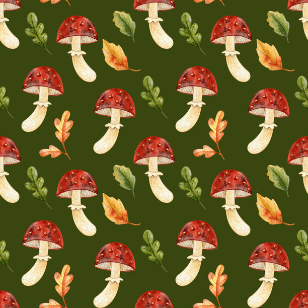 森林水彩图案。可爱的飞蘑菇图案。适合贺卡和秋季装饰。手绘水彩卡通风格图像。万圣节装饰。图片下载