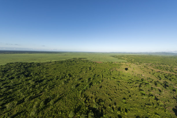 热气球飞越田野图片下载