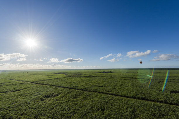 热气球飞越田野图片下载