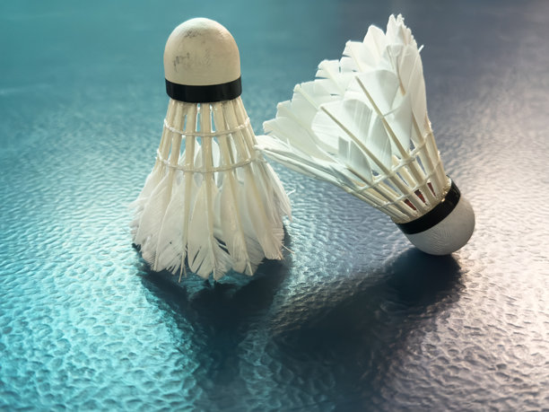 一套羽毛球。球拍和羽毛球。图片下载