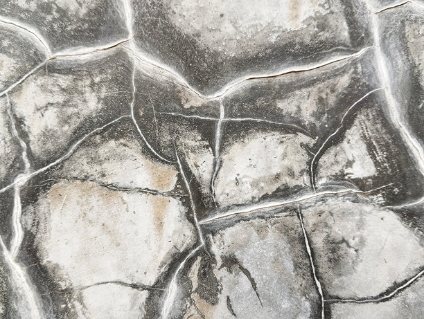 苔藓覆盖的墙壁裂缝照片图片下载