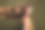 经过角蛋白疗法效果的迷人漂亮女士的照片，背景为卡其色。图片下载
