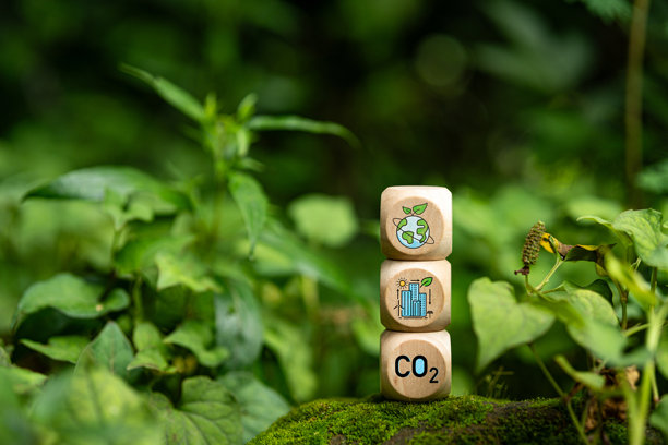 森林中的木块与环保图标。概念，环保广告，环保投资。插图用于添加环境描述。图片下载