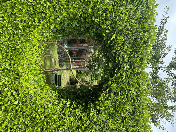 阴阳金属符号框架的窗户切割成整齐修剪的树篱图片下载