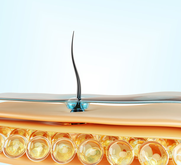 3D护发渲染宏观背景。水层、表皮、脂肪细胞和毛囊的皮肤头皮结构。角蛋白修复、洗发水滋养、治疗或移植概念。图片下载
