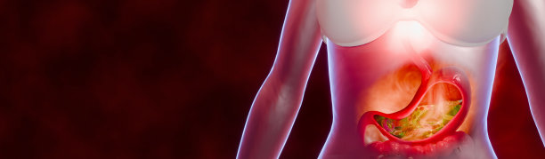 胃酸过多或胃食管反流的症状。腹腔内的胃液和肠道模型。胸部中间的灼烧感，胃酸反流。3D渲染图。图片下载