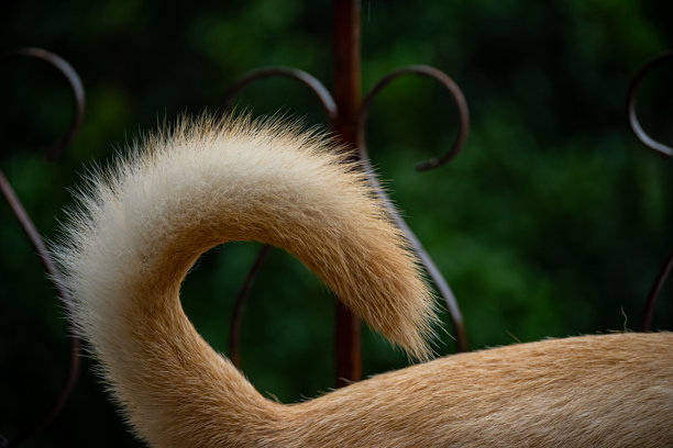 模仿曲线-1图片下载