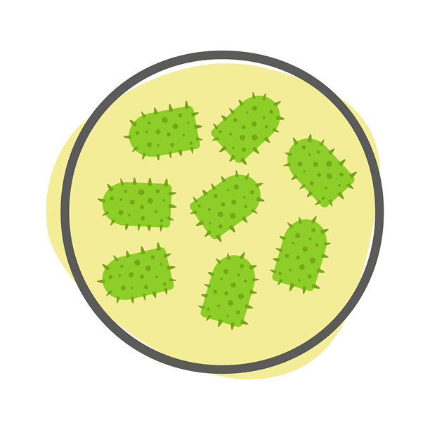 狗咬、舔和抓伤。狂犬疫苗预防。图片下载