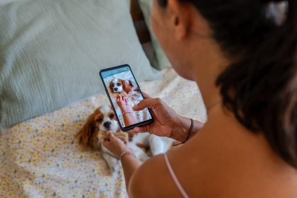 女人用手机给她的狗拍照图片下载