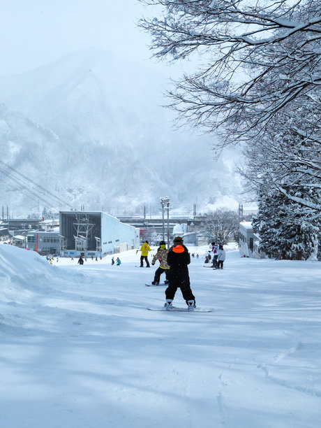 日本新潟县的汤泽高原，初学者和学习者在滑雪道和练习坡道上滑雪和单板滑雪。图片下载