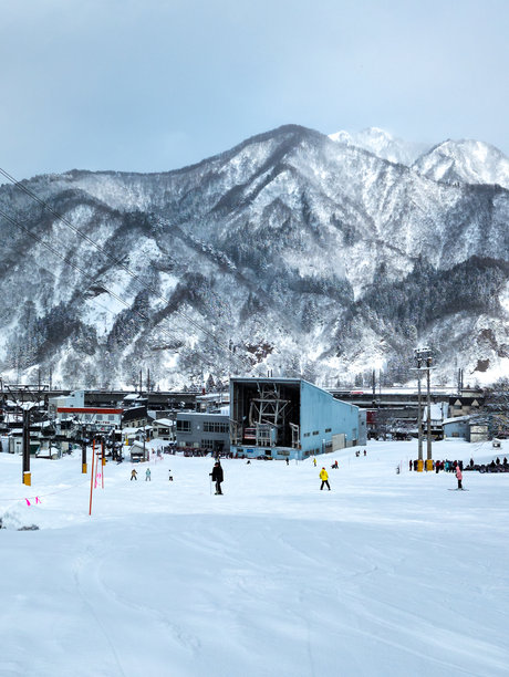 日本新潟县的汤泽高原，初学者和学习者在滑雪道和练习坡道上滑雪和单板滑雪。图片下载