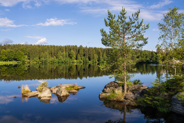 森林中的小湖。前景是水中的岩石和树木。高质量照片。德国巴伐利亚州的费希特尔湖。图片下载