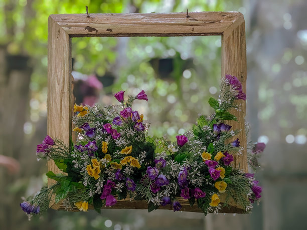 植物框架图片下载