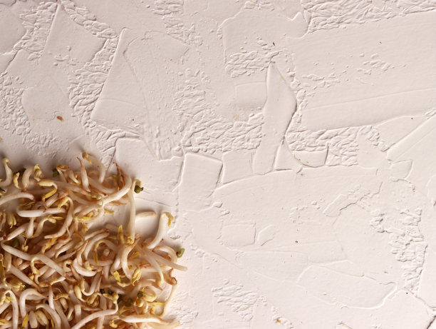 Toge蔬菜辣健康原料收获有机农场播种食品叶传统植物辣图片下载