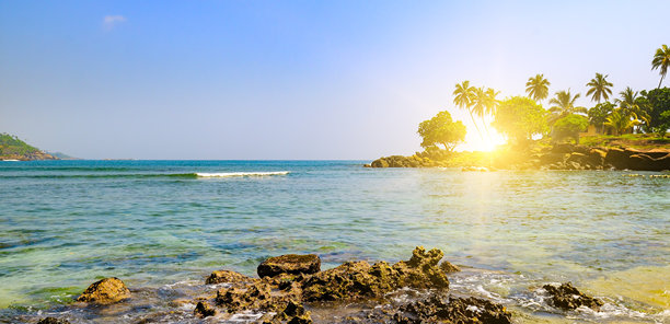 美丽的海浪，岩石海岸，热带棕榈树和明亮的阳光的海景。宽的照片。图片下载