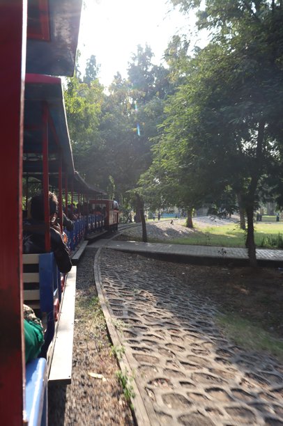 孩子和成年人在甘地纳加尔公园的火车上游玩图片下载