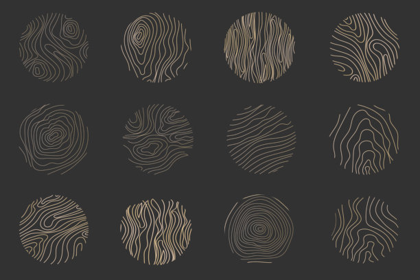 金色细线树轮集合。优雅的金色木材截面纹理圆圈。地形图地理网格轮廓。木桩木材。矢量插图图片下载