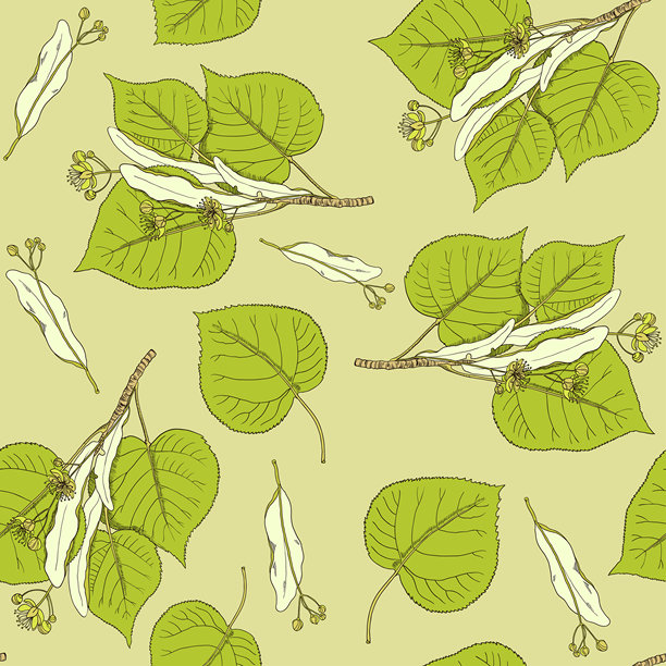 无缝图案，带有复古的菩提花和树枝。图片下载