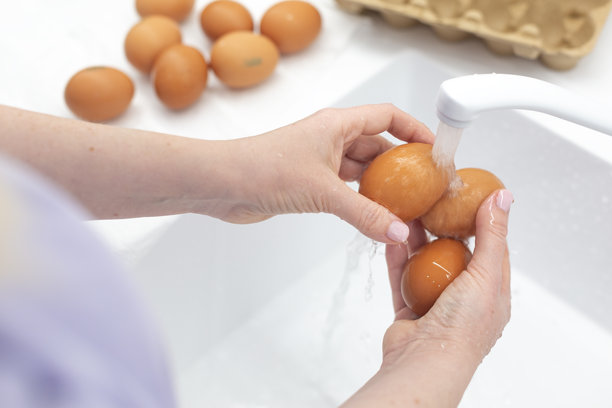 在水下清洗鸡蛋图片下载