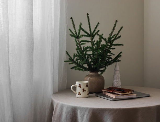 圆桌上的圣诞装饰、咖啡杯、笔记本电脑和书籍图片下载