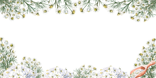 矩形框架内有菊花花束和木勺与浴盐。用于美容院名片、标签、包装设计的独立水彩插图。图片下载