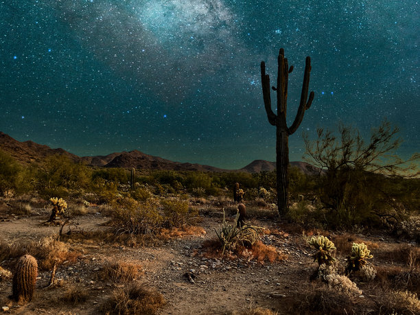 壮观的星空之夜，位于亚利桑那州斯科茨代尔的麦克道威尔索诺兰保护区入口小径图片下载