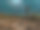 壮观的星空之夜，位于亚利桑那州斯科茨代尔的麦克道威尔索诺兰保护区入口小径图片下载