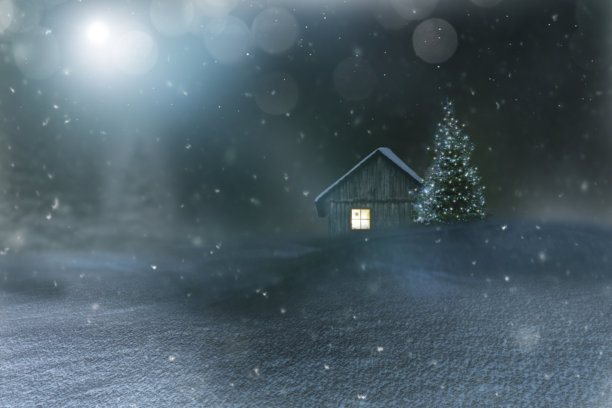 冬季雪景，松树与雪花交织在一起图片下载