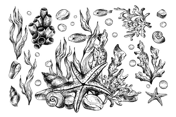 水下世界剪贴画，包含海洋动物、海星、贝壳、珊瑚和海藻。手绘水彩插图。元素集合，背景独立。图片下载