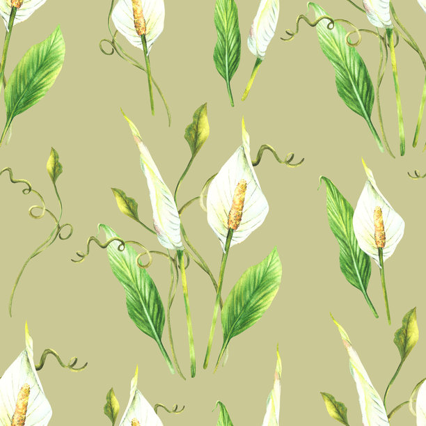 水彩热带植物花束。带有白色花朵的无缝图案。手绘插图图片下载