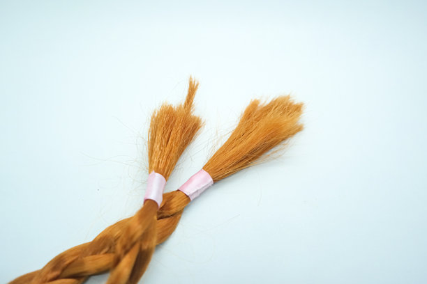 白色背景上孤立的头发特写照片图片下载