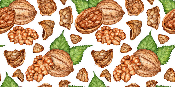 水彩画中的核桃仁、壳和叶子图片下载