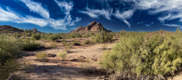 壮观的日落，帕帕戈公园，索诺兰沙漠，亚利桑那州图片下载