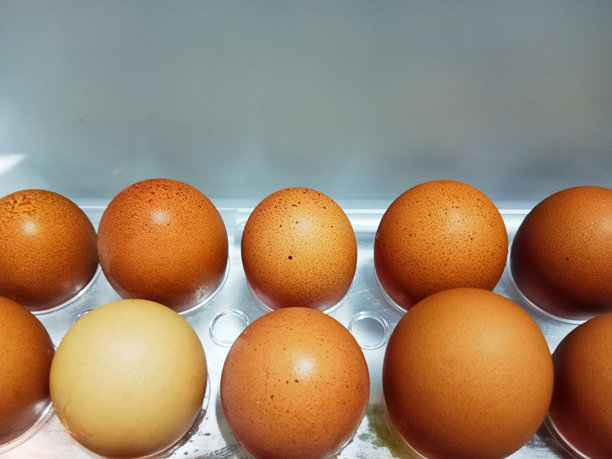冰箱里的鸡蛋照片图片下载