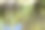 森林在湖面上的倒影照片。图片下载