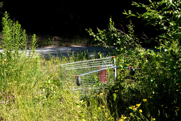 一个旧购物车被丢弃在公园或森林中。图片下载