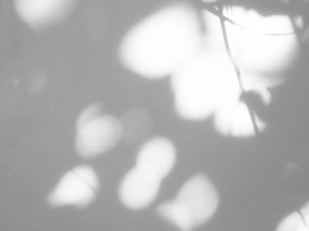 阴影光线夏季背景阳光叠加自然在水泥墙地板上的抽象模糊效果灰色极简平台，用于产品展示背景、壁纸模板展示。图片下载