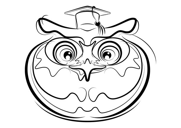 毕业的猫头鹰图片下载