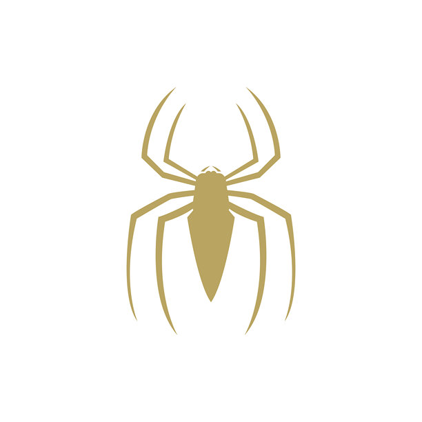 简单风格的蜘蛛标志线条艺术图片下载