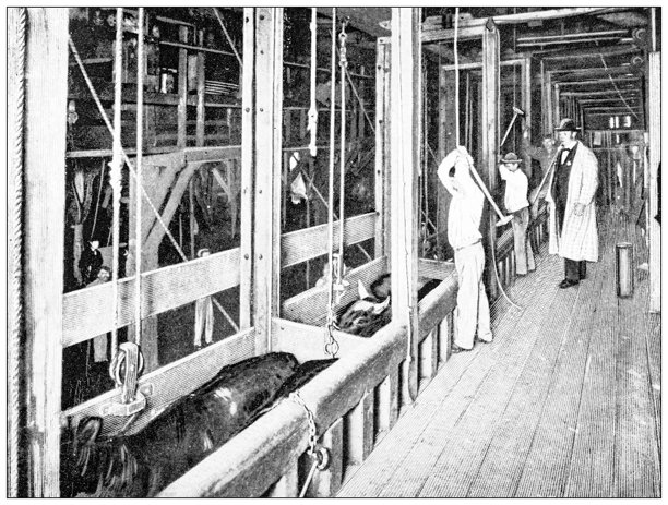 古董图像：食品行业，肉类屠宰场图片下载