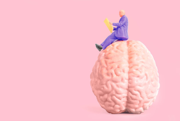 粉色背景上的大脑模型上的微型人偶图片下载