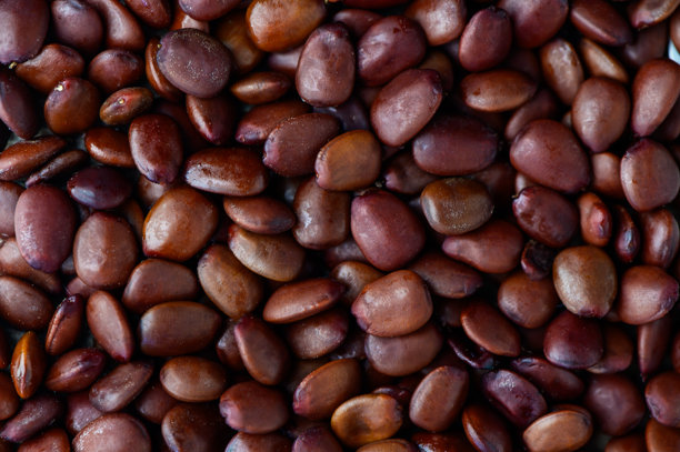 角豆种子、古老的度量、信仰、钻石图片下载