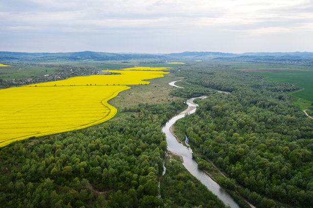 壮观河流的航拍无人机照片图片下载